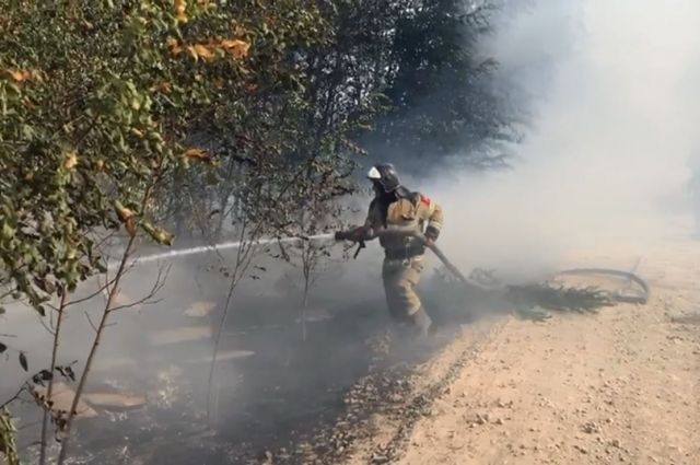 Лесные пожары прогнозируют в Ростовской области
