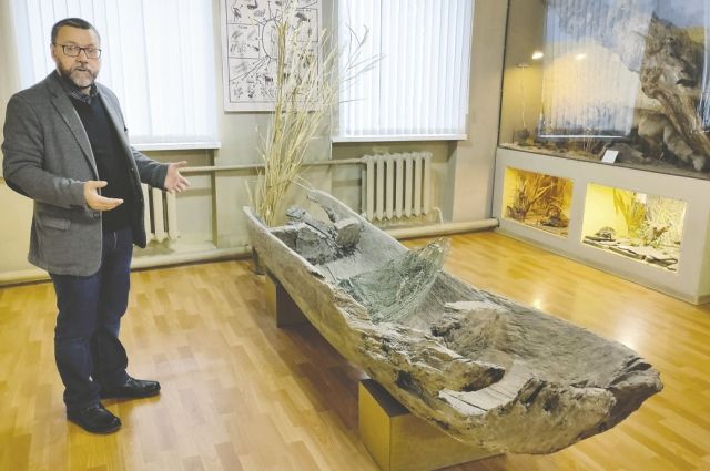 Валентин Хлебнов проводит экскурсию в Белокалитвинском историко-краеведческом музее