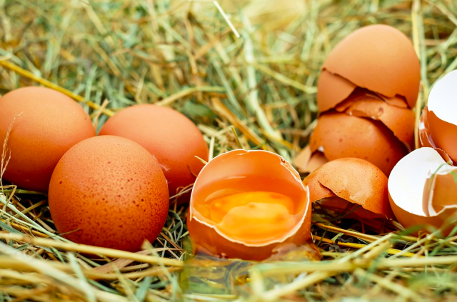 Яйца в Омской области остаются одними из самых дешёвых в Сибири