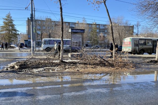В Оренбурге на проспекте Дзержинского уложили переправу из веток.