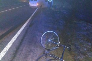 Во Львовской области микроавтобуса насмерть сбил женщину.