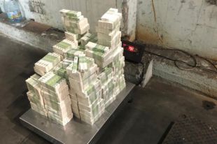 СБУ перекрыла канал поставки поддельных акцизных марок.