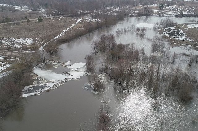 В Мичуринском районе Тамбовской области затопило мост на реке Воронеж