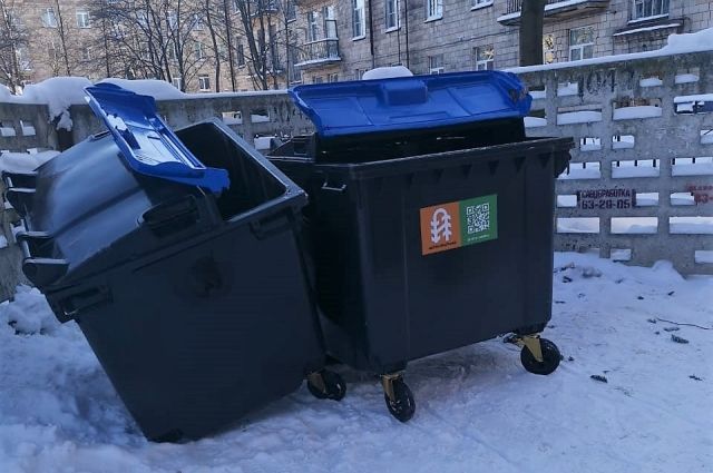 Видео: пенсионеры в Ростове ищут просроченные продукты в мусорных баках