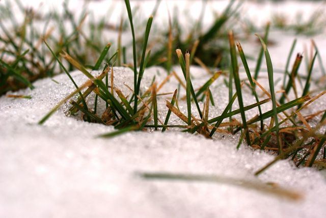 В Татарстане с начала недели снег осел на 5 – 10 и более см
