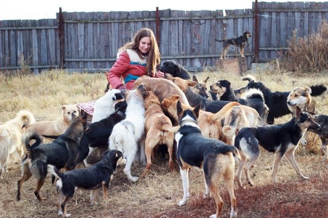 Сейчас в приюте у Полины Кефер более 200 собак, и для каждой она надеется найти хозяина. 