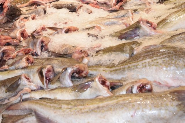 Полиция Анапы пресекла незаконную торговлю морепродуктами