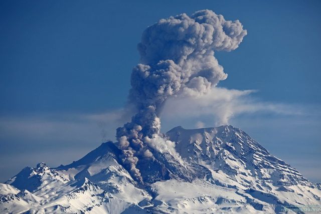 Пепловый шлейф с вулкана Шивелуч на Камчатке протянулся на 250 километров