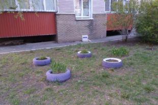 Кто тянет резину. Почему в столичных дворах убирают с цветников шины