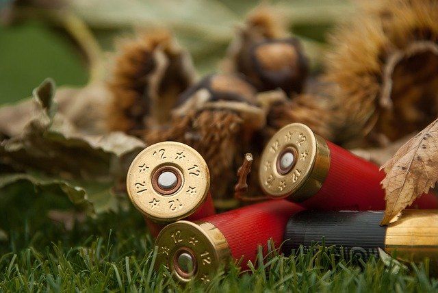 Сезон весенней охоты в Новосибирской области начнется с 10 апреля