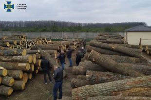 СБУ раскрыла схему масштабного нелегального экспорта древесины.