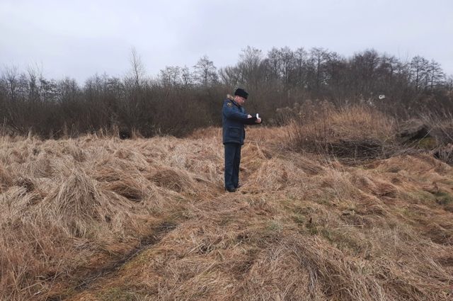 Расследование по факту пала травы в Гдовском районе проводит МЧС