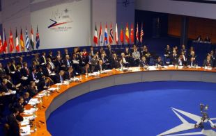Литва попросит НАТО предоставить Украине План действий по членству
