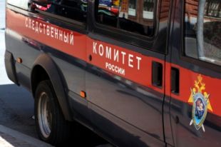 Житель Тюменской области обвиняется в убийстве матери