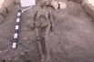 Человеческий скелет, найденный при раскопках. 