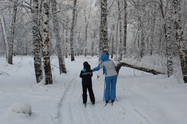 Илья Середюк рассказал о закрытой школе по лыжным гонкам