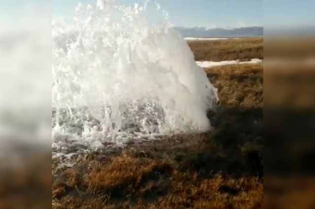 Природные фонтаны начали бить из-под земли в Республике Алтай