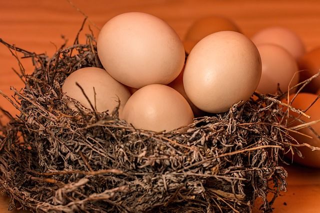 Яйца подорожали на 9% в Ростовской области