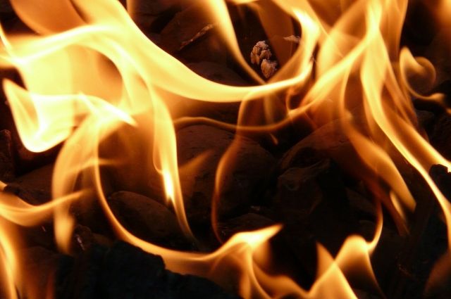 90 пожаров по вине человека произошли на территории Брянщины за один день