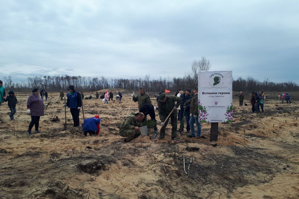 Жители Усть-Донецкого района присоединились к международной акции «Сад памяти»