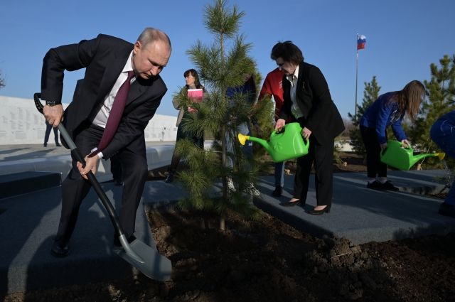 Путин в Энгельсе посадил кедр на месте приземления Гагарина