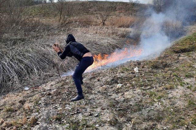 За выходные в Калининградской области был антирекорд по палам травы