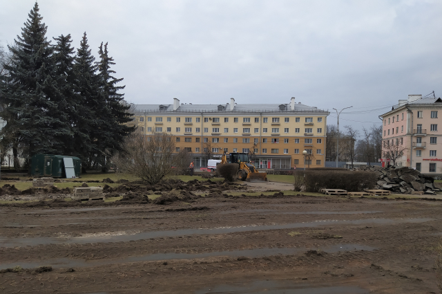 Около 150 кустарников и деревьев высадят на площади Ленина в Пскове