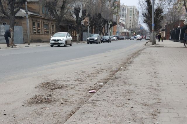 Урбанисты назвали причину избытка пыли в Рязани
