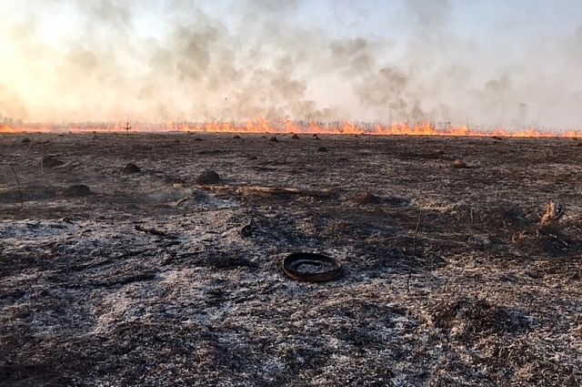 В Суздальском районе из-за пала сухой травы едва не сгорела целая деревня.