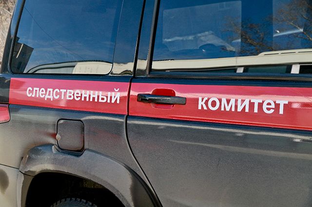 СК проверяет спасение 8-летней девочкой подруги под Новосибирском