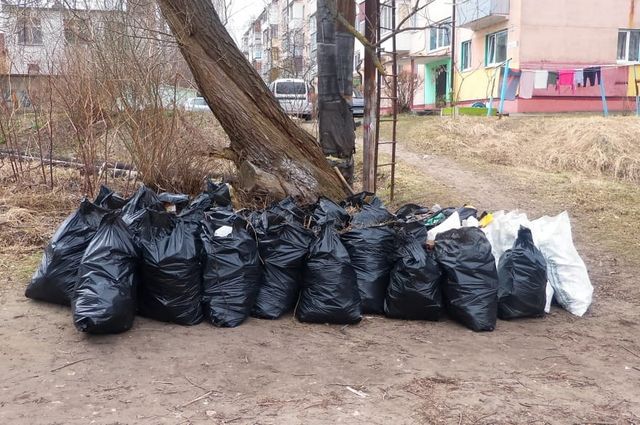 В Фокинском районе Брянска приступили к ликвидации многолетней свалки