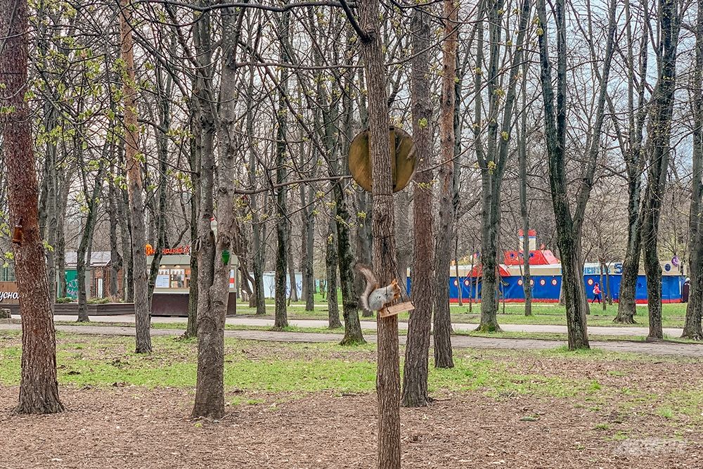 Карта чистяковской рощи в краснодаре