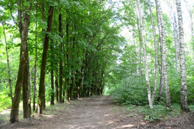 Развитие Реадовского парка обсудят в Смоленске