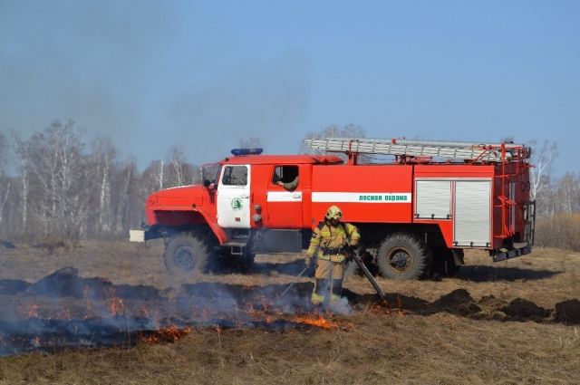 В Челябинской области потушили десять лесных пожаров