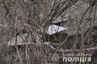 Во Львове мужчина убил и расчленил женщину, а останки выбросил в парке