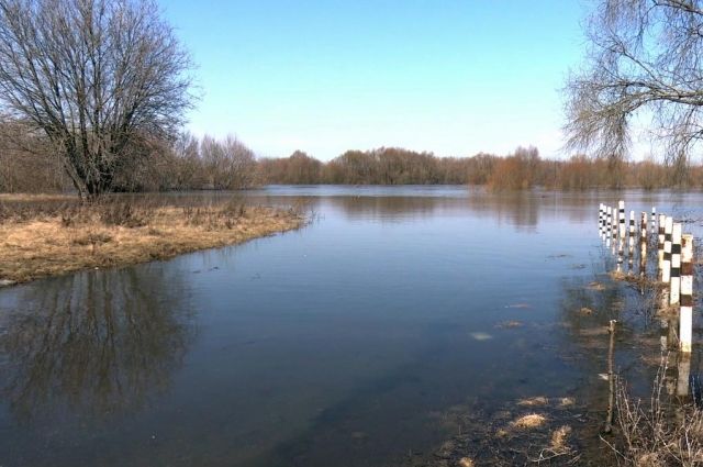 В рязанских реках продолжается незначительный подъем уровня воды