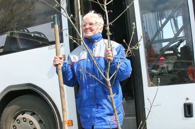 Автобусы для садоводов запустили в Барнауле
