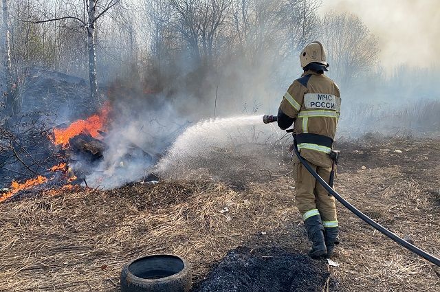 За сутки во Владимирской области потушили 44 пала сухой травы