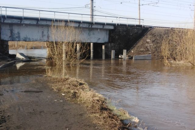 К поискам пропавшего у реки под Новосибирском мальчика подключат Росгвардию