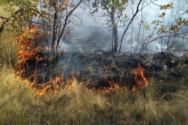 В Курской области за минувшие сутки пожарные десять раз тушили сухую траву
