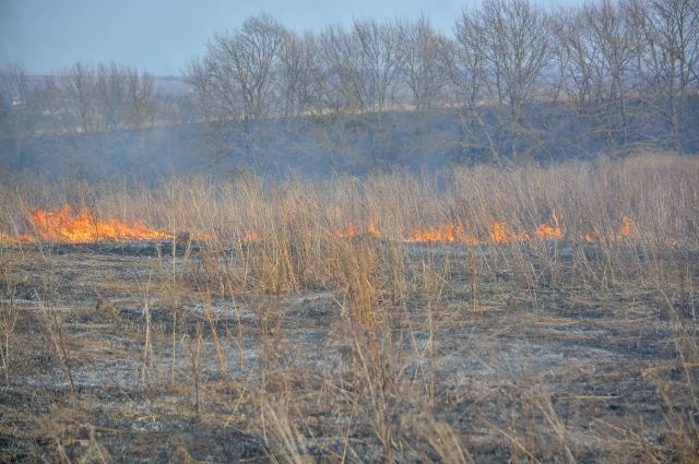 В Ростовском районе пожарные спасли деревню от огня