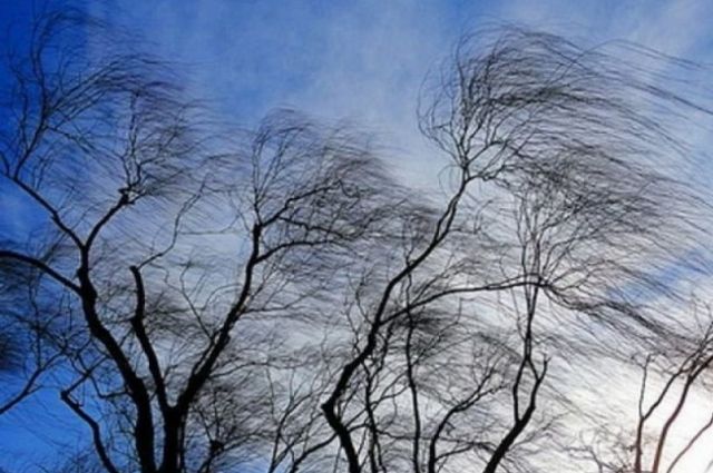 МЧС предупреждает об усилении ветра на востоке и в центре Оренбуржья