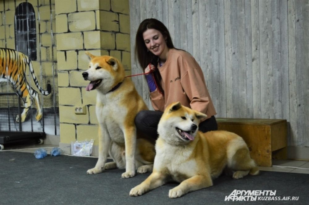 На «Пушистой субботе» можно было купить билет за 100 рублей и сфотографироваться с любым животным у профессионального фотографа.