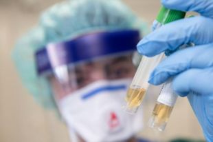COVID-19. Чего ждем от проекта в Моршине и кому достанется Pfizer