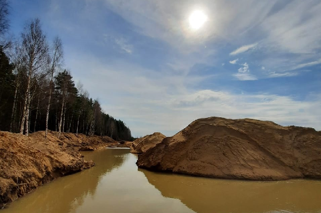 Во Владимирской области на 55 гектарах незаконно добывают песок