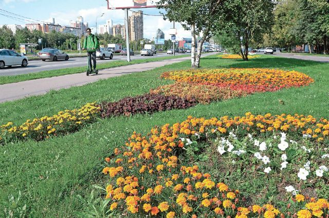 Жители Крымска выберут территорию для благоустройства в 2022 году