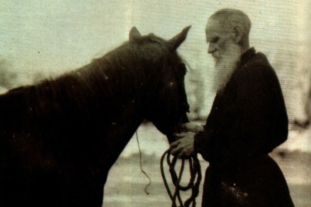 Право, вы были лошадью. Почему Лев Толстой так любил этих животных?
