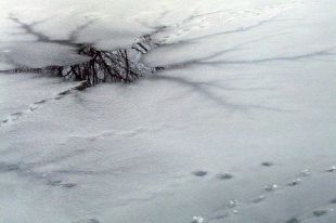 Накануне стало известно, что ледоход начался на реке Конде