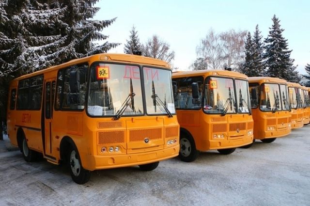 Для омских школьников собираются закупить новые автобусы
