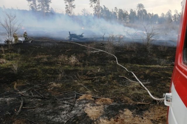Пожароопасный сезон в Архангельской области объявят уже 27 апреля